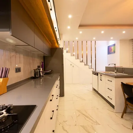 Vena Kalkan Villa *